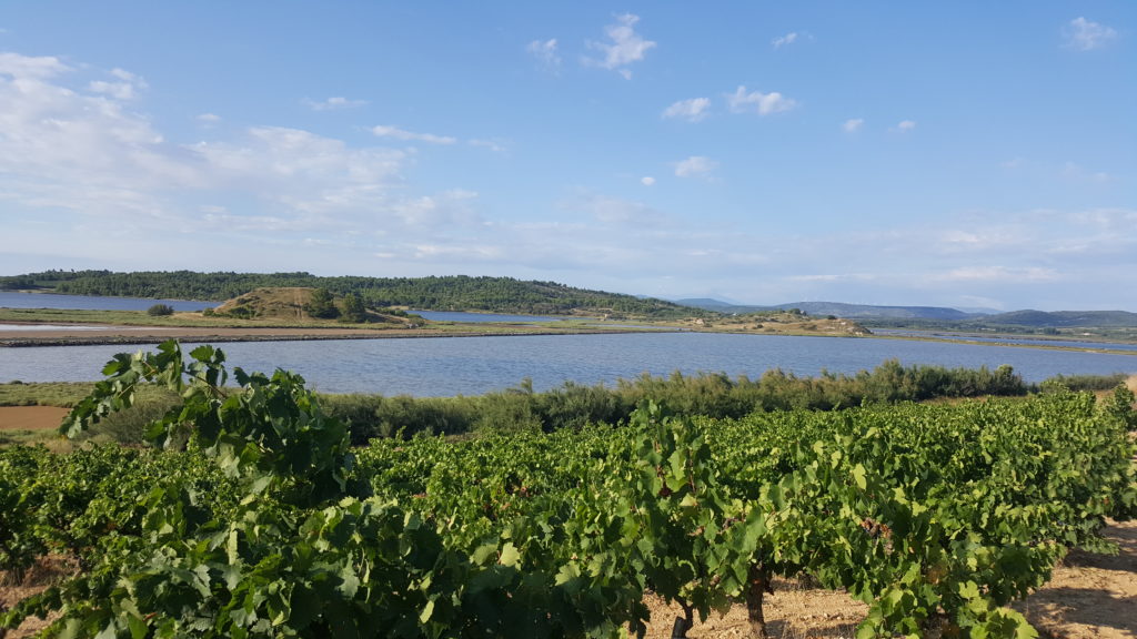 Vignobles d Occitanie
