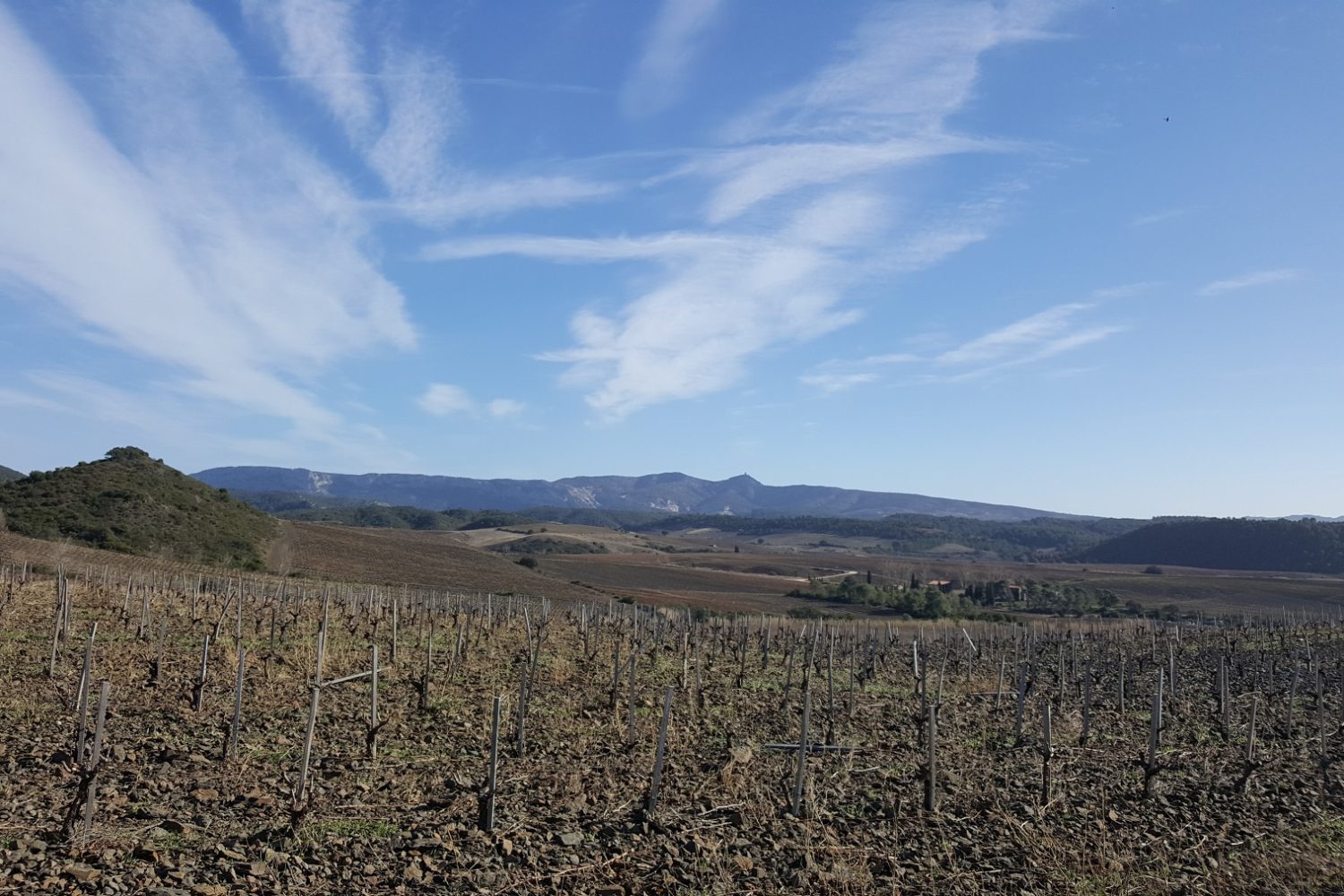 Vignobles du Languedoc Roussillon